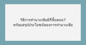วิธีการทำนาเกลือมีกี่ขั้นตอน? พร้อมสรุปประโยชน์ของการทำนาเกลือ