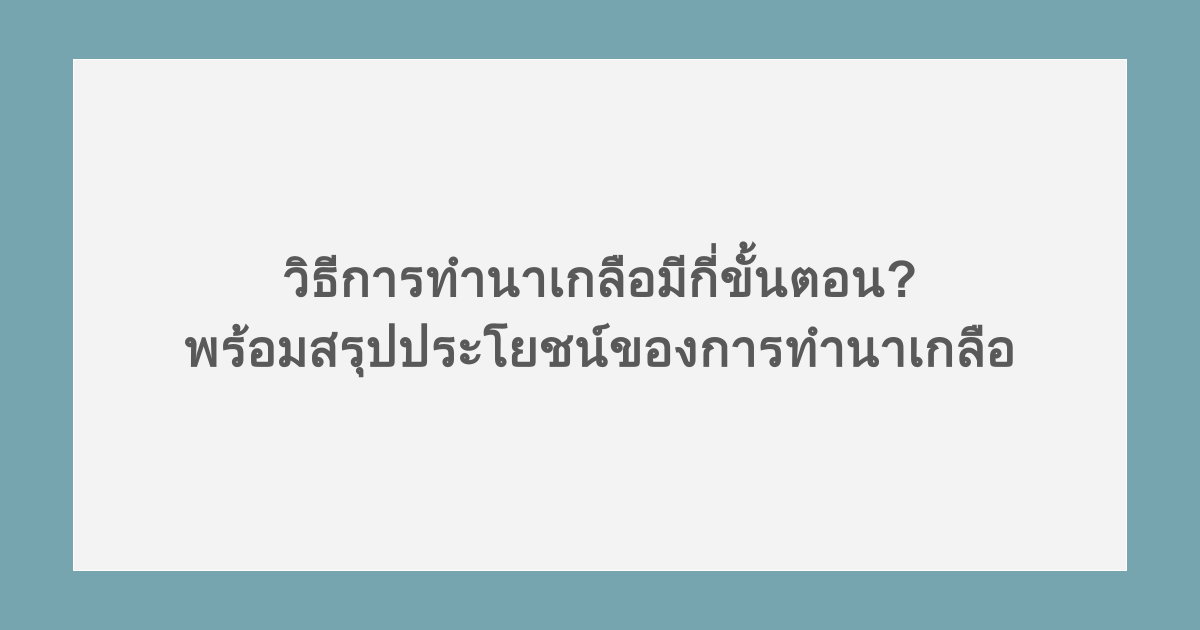 วิธีการทำนาเกลือมีกี่ขั้นตอน? พร้อมสรุปประโยชน์ของการทำนาเกลือ